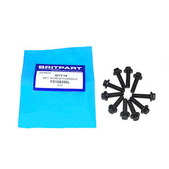 SET SCREW FLANGED - OEM - FS106255L