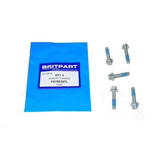 SCREW FLANGED - OEM - FS106307L