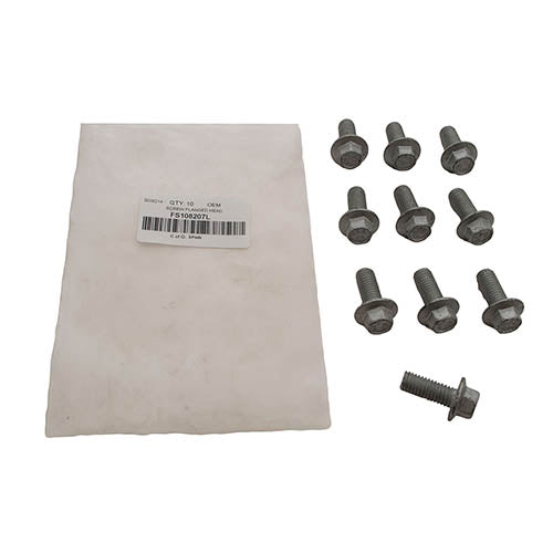 SCREW FLANGED HEAD - OEM - FS108207L