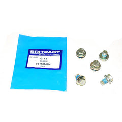 SCREW - OEM - FS110141M