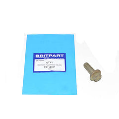SCREW-FLANGED HEAD - OEM - FS112351