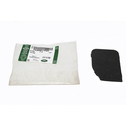 FINISHER-DOOR - LR - FVJ000011PUYLR