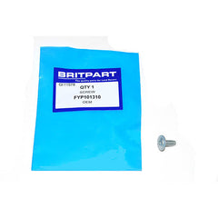 SCREW - OEM - FYP101310