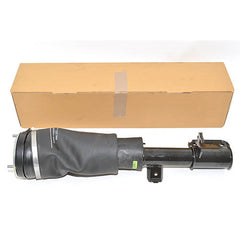 MACPHERSON STRUT - OEM - LR032563G