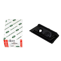 MOULDING - TAILGATE OUTSIDE - LR - LR070496LR