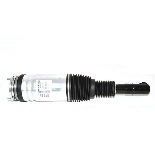MACPHERSON STRUT - BWI - LR079515
