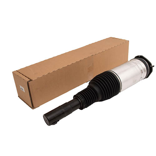 MACPHERSON STRUT - BWI - LR123641G