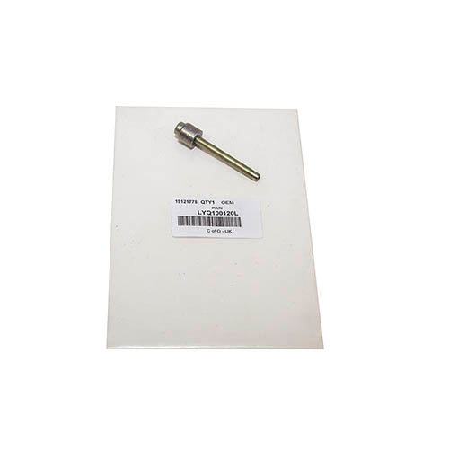 PLUG - OEM - LYQ100120L