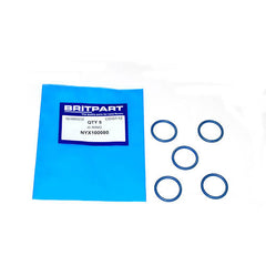 O RING - BRITPART - NYX100080