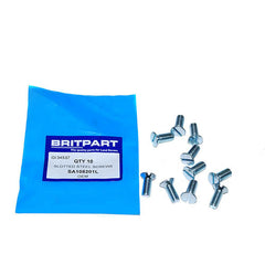 SLOTTED STEEL SCREWS - OEM - SA108201L