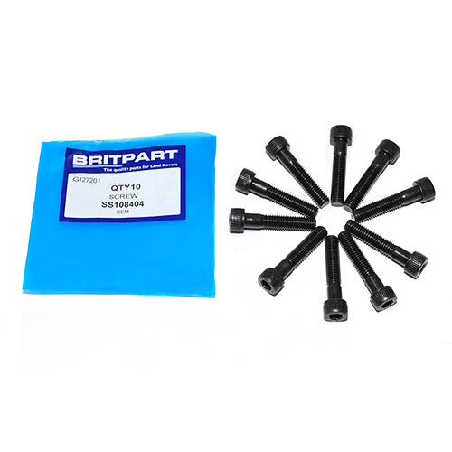 SCREW - OEM - SS108404
