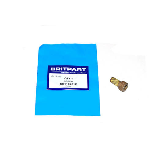 SCREW - OEM - SS110201E