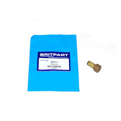 SCREW - OEM - SS110201E