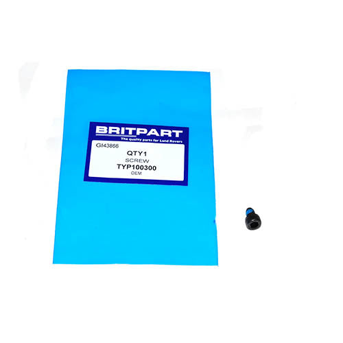 SCREW - OEM - TYP100300