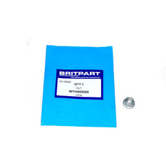 NUT - OEM - WYH500060